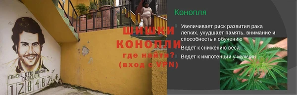 прущие грибы Нязепетровск
