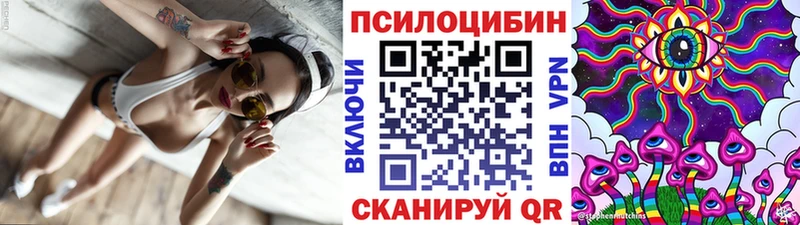 Галлюциногенные грибы Psilocybe  где купить наркоту  Бавлы 